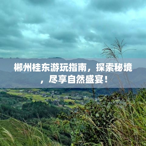郴州桂东游玩指南，探索秘境，尽享自然盛宴！