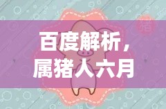 百度解析，属猪人六月运势全面解读