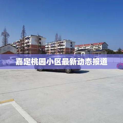 嘉定桃园小区最新动态报道