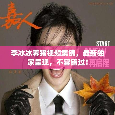 李冰冰养猪视频集锦，最新独家呈现，不容错过！