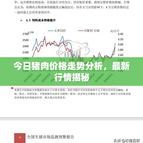 今日猪肉价格走势分析，最新行情揭秘