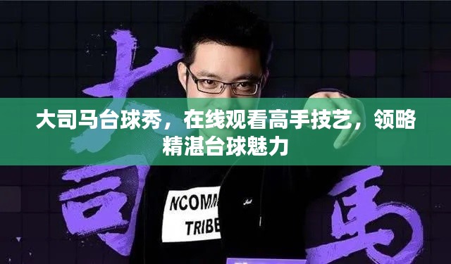 大司马台球秀，在线观看高手技艺，领略精湛台球魅力