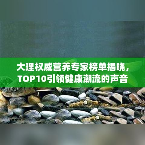 大理权威营养专家榜单揭晓，TOP10引领健康潮流的声音