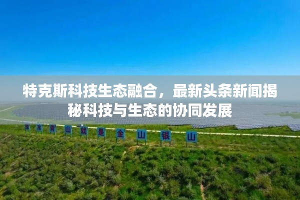 特克斯科技生态融合，最新头条新闻揭秘科技与生态的协同发展