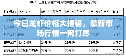 今日龙虾价格大揭秘，最新市场行情一网打尽