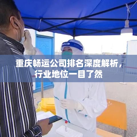 重庆畅运公司排名深度解析，行业地位一目了然