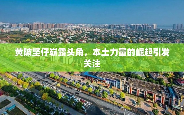 黄陂坚仔崭露头角，本土力量的崛起引发关注