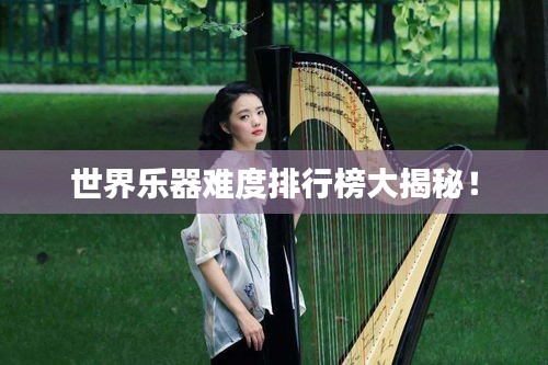 世界乐器难度排行榜大揭秘！