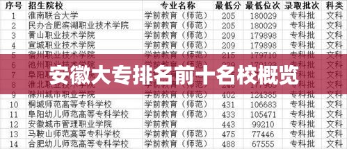 安徽大专排名前十名校概览