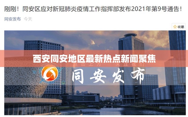 西安同安地区最新热点新闻聚焦