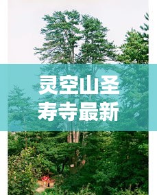 灵空山圣寿寺最新动态与变迁揭秘