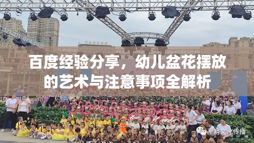百度经验分享，幼儿盆花摆放的艺术与注意事项全解析