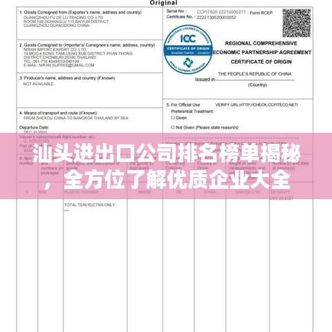 汕头进出口公司排名榜单揭秘，全方位了解优质企业大全