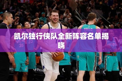 凯尔独行侠队全新阵容名单揭晓
