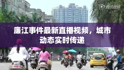 廉江事件最新直播视频，城市动态实时传递