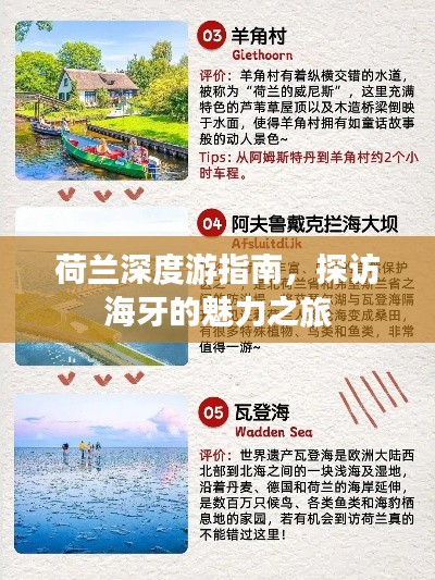 荷兰深度游指南，探访海牙的魅力之旅