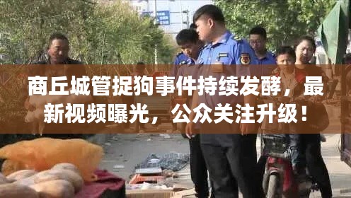 商丘城管捉狗事件持续发酵，最新视频曝光，公众关注升级！