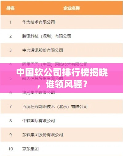 中国软公司排行榜揭晓，谁领风骚？