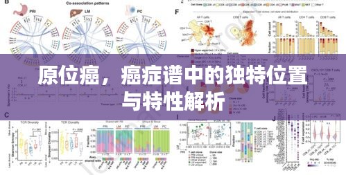 原位癌，癌症谱中的独特位置与特性解析