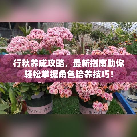 行秋养成攻略，最新指南助你轻松掌握角色培养技巧！