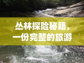 丛林探险秘籍，一份完整的旅游攻略