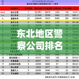 东北地区警察公司排名揭秘，影响力与实力并存的警务巨头榜单