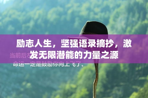 励志人生，坚强语录摘抄，激发无限潜能的力量之源