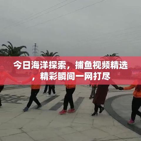 今日海洋探索，捕鱼视频精选，精彩瞬间一网打尽