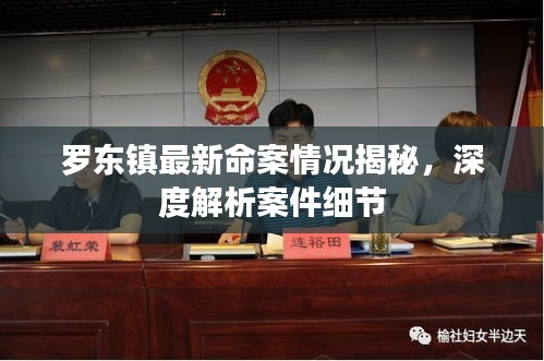 罗东镇最新命案情况揭秘，深度解析案件细节