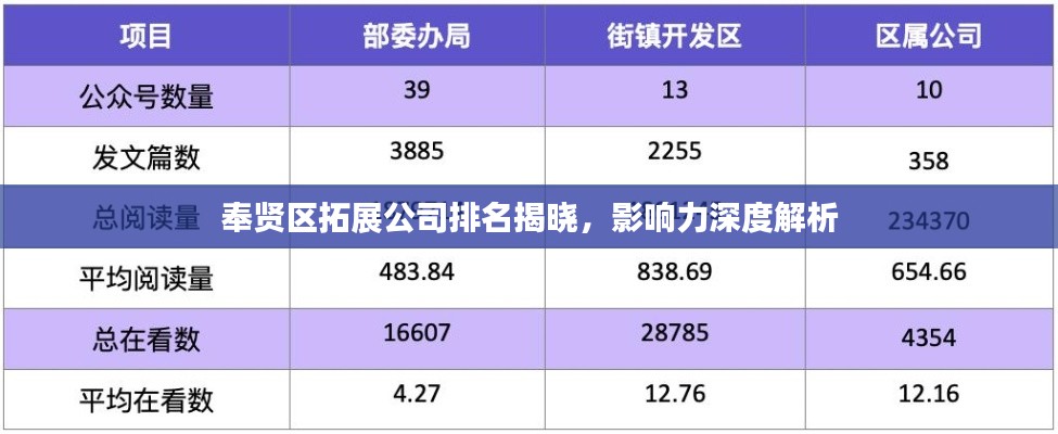 奉贤区拓展公司排名揭晓，影响力深度解析