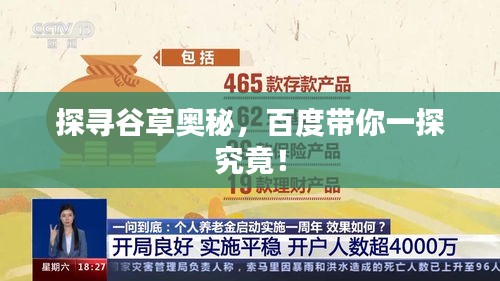 探寻谷草奥秘，百度带你一探究竟！