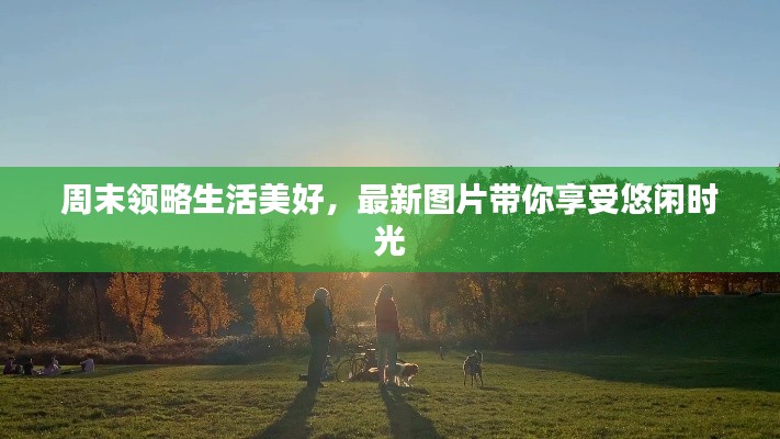 周末领略生活美好，最新图片带你享受悠闲时光