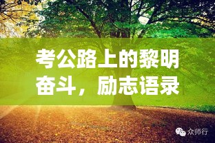 考公路上的黎明奋斗，励志语录唤醒你的每一个清晨