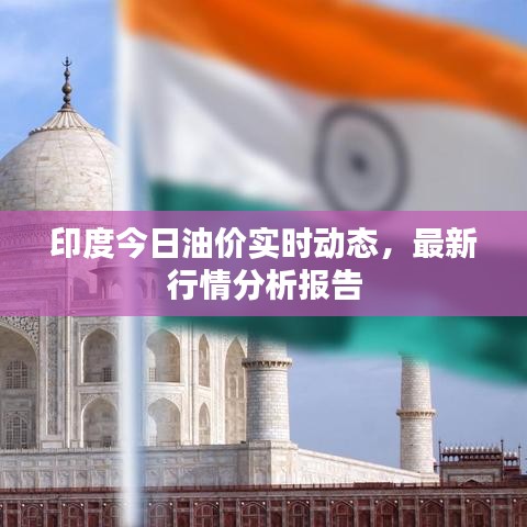 印度今日油价实时动态，最新行情分析报告