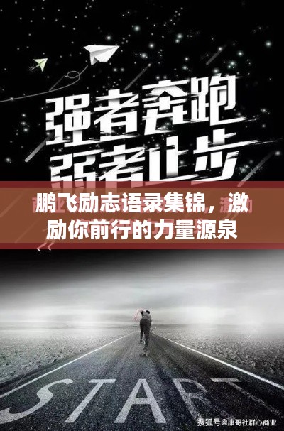 鹏飞励志语录集锦，激励你前行的力量源泉