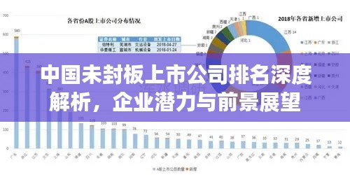 中国未封板上市公司排名深度解析，企业潜力与前景展望
