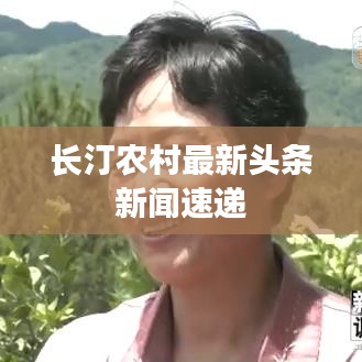 长汀农村最新头条新闻速递