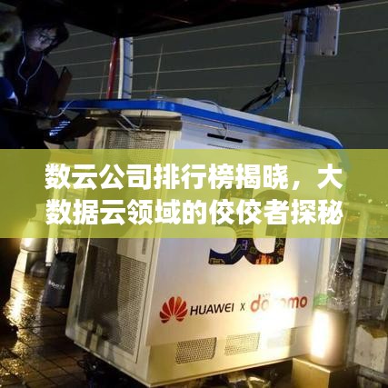 数云公司排行榜揭晓，大数据云领域的佼佼者探秘