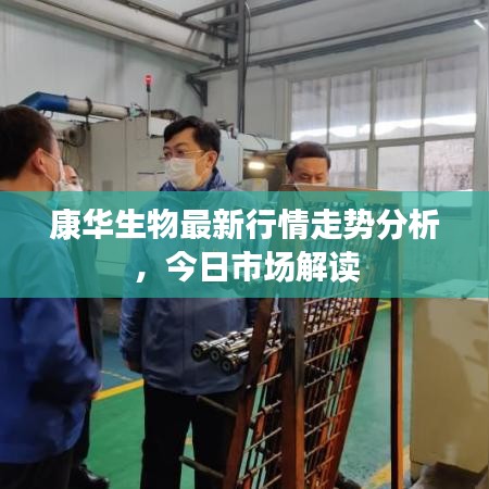 康华生物最新行情走势分析，今日市场解读