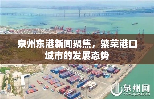 泉州东港新闻聚焦，繁荣港口城市的发展态势
