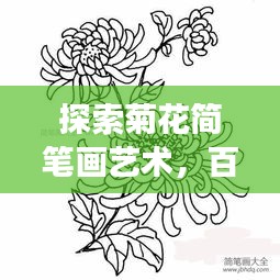 探索菊花简笔画艺术，百度上的创意手绘之旅