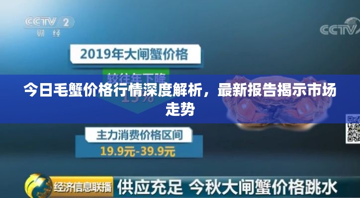 今日毛蟹价格行情深度解析，最新报告揭示市场走势