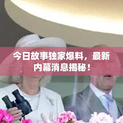 今日故事独家爆料，最新内幕消息揭秘！