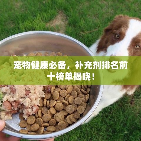 宠物健康必备，补充剂排名前十榜单揭晓！