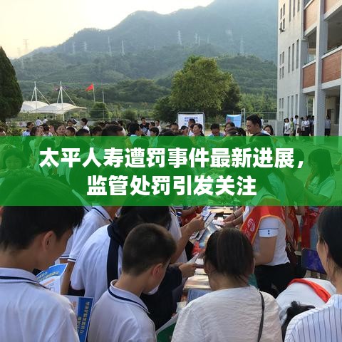太平人寿遭罚事件最新进展，监管处罚引发关注