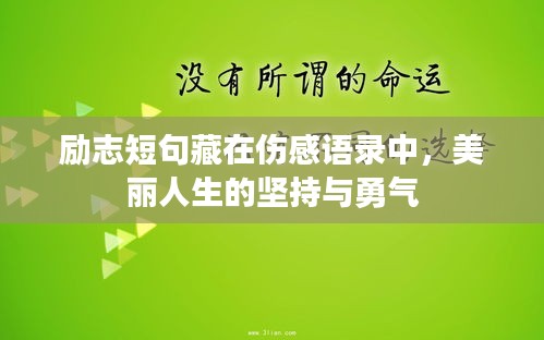 励志短句藏在伤感语录中，美丽人生的坚持与勇气