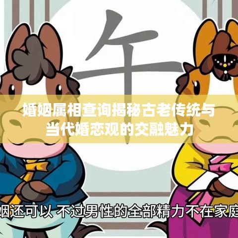 婚姻属相查询揭秘古老传统与当代婚恋观的交融魅力