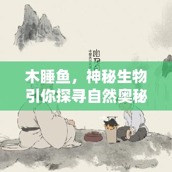 木睡鱼，神秘生物引你探寻自然奥秘
